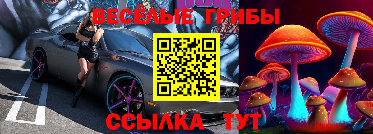 Галлюциногенные грибы Psilocybine cubensis  Вход с VPN  Фурманов 
