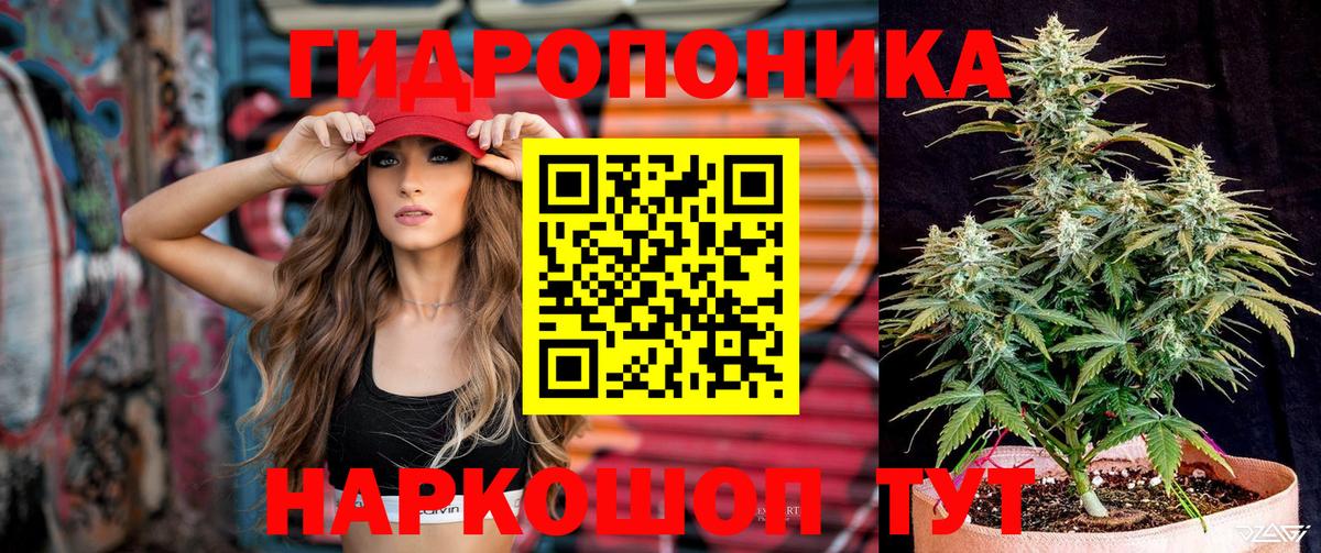МАРИХУАНА ГИДРОПОН  Марихуана конопля  Фурманов  Каннабис SATIVA & INDICA  Вход с VPN 